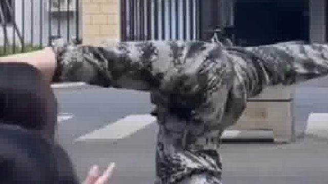 就算是为了看军训技能也要好好考大学啊