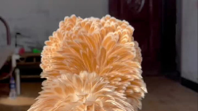 头发长真的不影响干饭的存在即合理