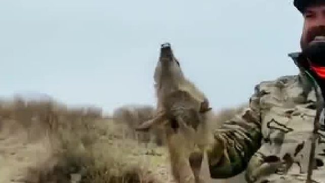 本想帮它找到麻麻，谁知小家伙并不领情，蕞后的结局让人大跌眼镜