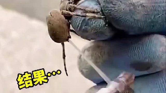 听声音得老难受了