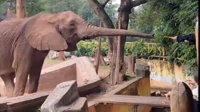 最遥远的距离就是食物就在我面前，我却吃不到。