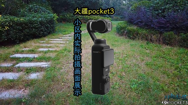 入手大疆pocket3，测试一下拍摄画面