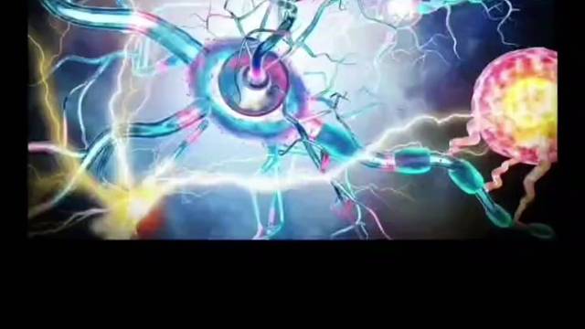 植物神经紊乱？