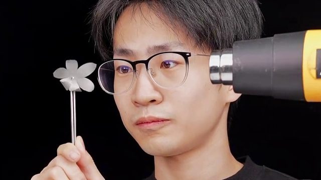 让它在温暖有阳光的地方上演了一出“铁树开花”