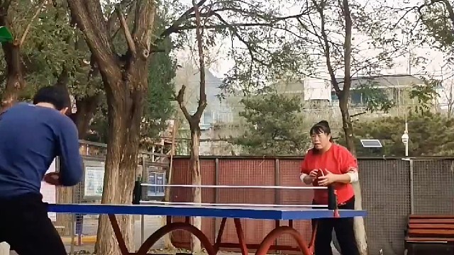 小小国球，乒乓天地。