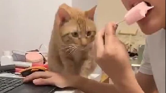 橘子：好了，你可以选择自己吃还是给我吃！