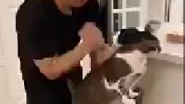 每天主人下班必备流程，排队等着按摩！