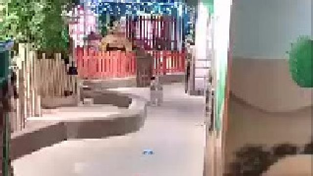 朋友们，养鸡吗？