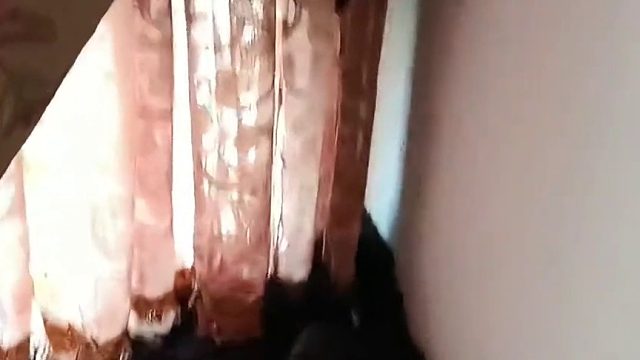 网友_ 好久没回家，回到家惊呆了…