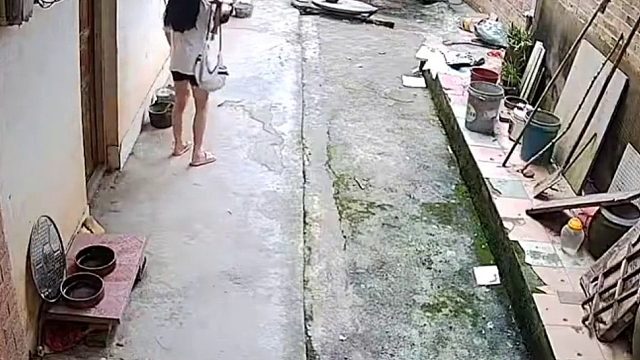 我直接目瞪狗呆