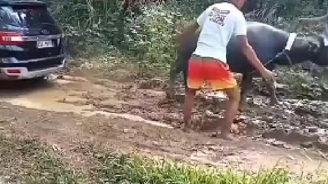 到底谁牛？？？？