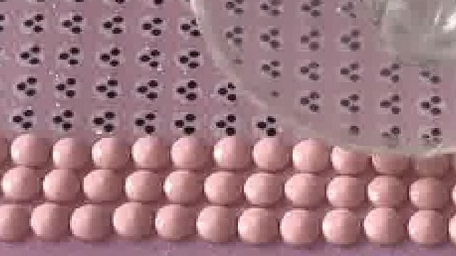 乐观和爱是腐烂生活的解药