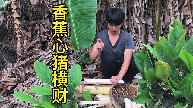 不一样的烟火芭蕉心你吃过吗