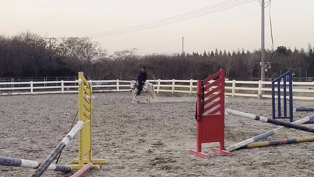 雪白雪白的小马