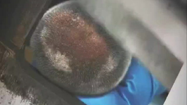 我还以为是个老大爷