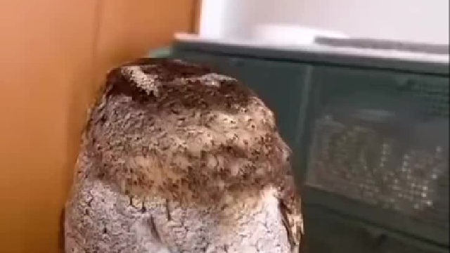 再这样人家要生气了