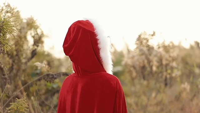 青年时期的作品《昭君出塞》服装视频