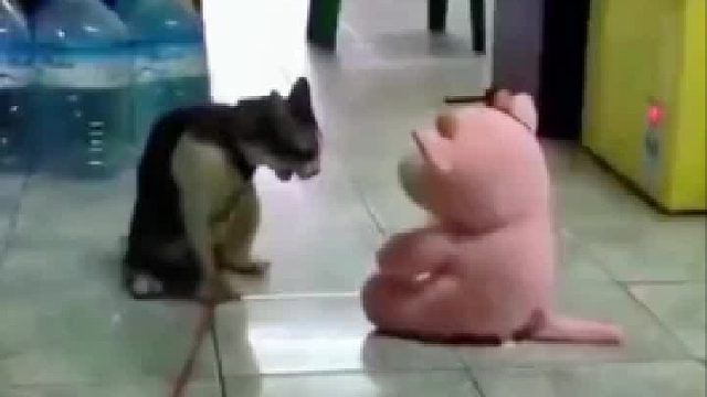 看不顺眼哈哈哈