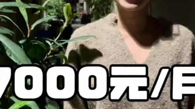 7000元月在上海能租到什么样的房子