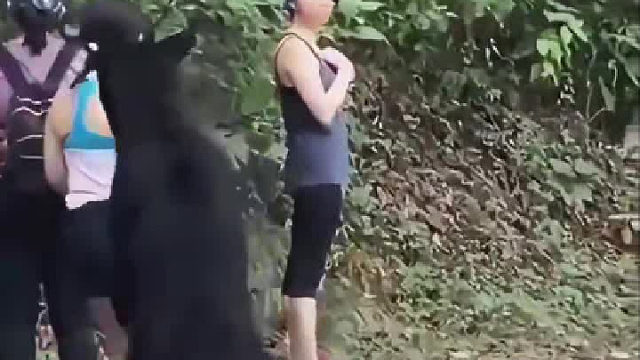 三个小姐姐户外遇到黑熊淡定应对