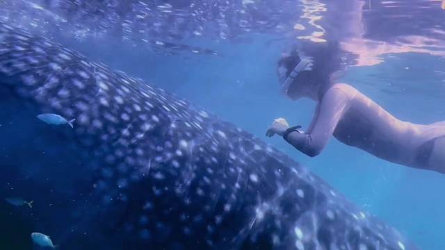 班达海-海神湾-四王岛