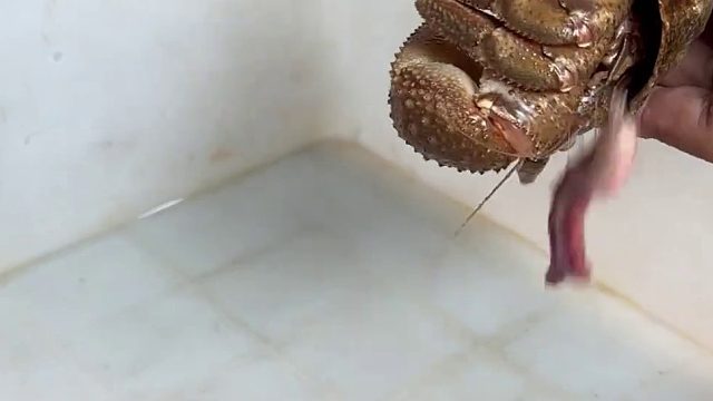 是谁在敲打我窗