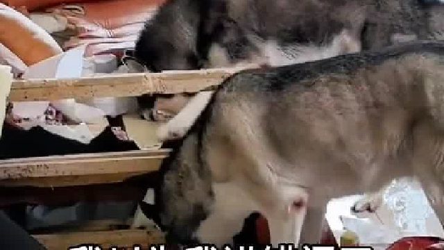 我以为我进错门了……