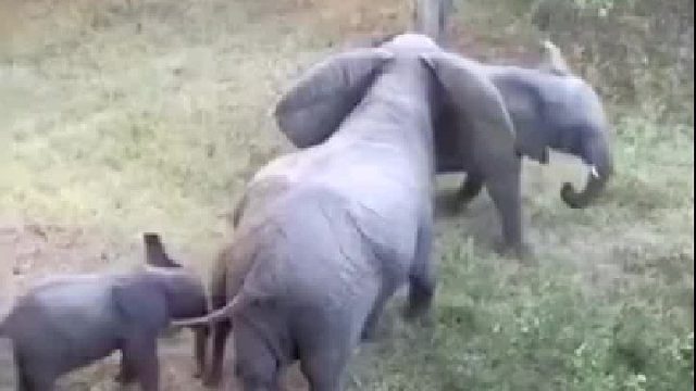 战术执行的不错