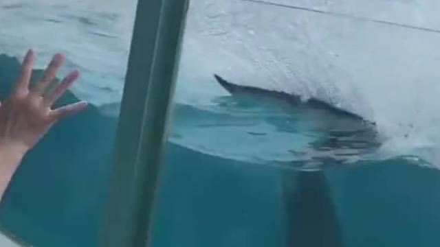 就问你这票白没白买，白没白买，白没白买…………