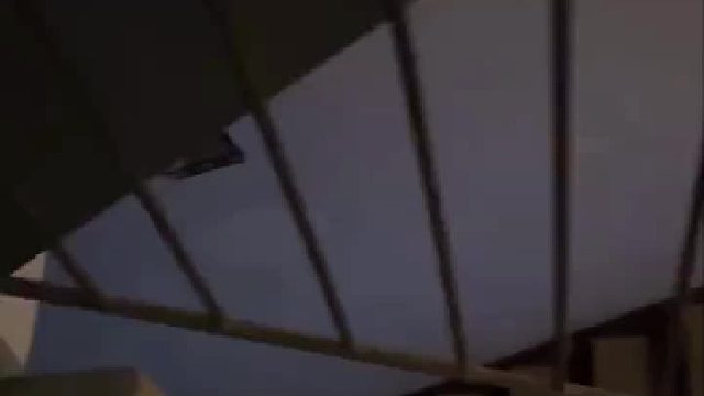 不管谁家垃圾 只要在楼道里绝对就的给人家叼下去