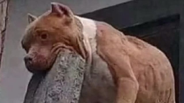 事情大概就是这样...