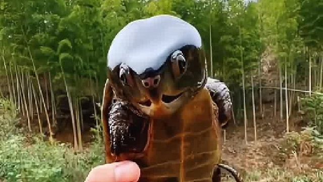 长得一副惹不起的样子