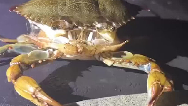 我已出舱，感觉良好