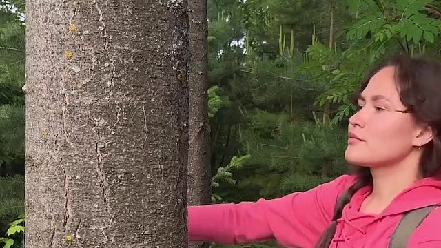 如何用一根绳子快速设置简易户外树上挂钩，你学会了么？