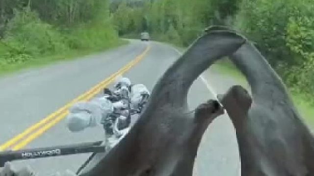 生活跟活着的区别