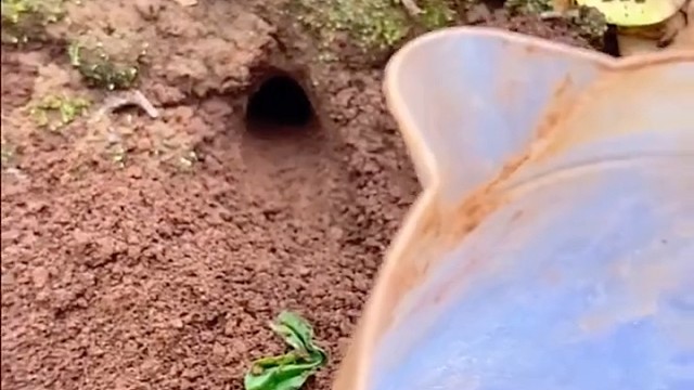 贝勒们的硬通货