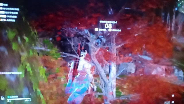 永劫无间宁红夜寻找隐身草能成功吗