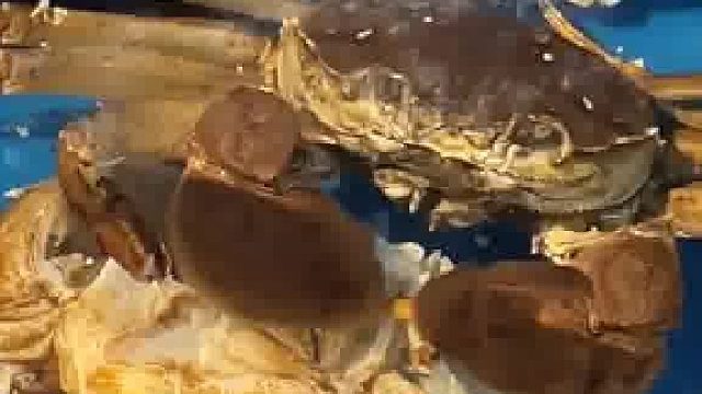 这只大闸蟹算不算高质量