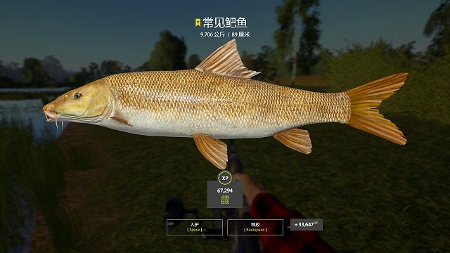 不常见鲃鱼，可惜完不成资格任务  ^_^