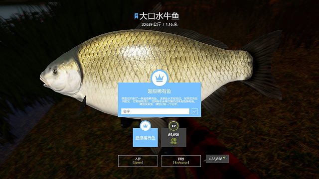 第二条蓝大口水牛 ^_^