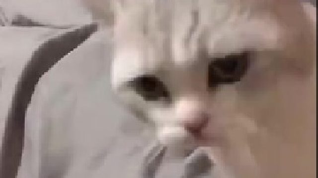 你的小可爱需要充电了