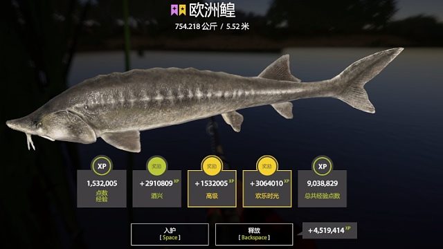 754k欧洲鳇起鱼（感谢风流哥的指导）