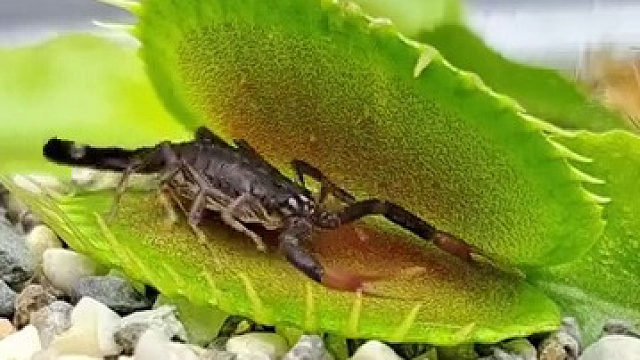 你自己找死可别怪我了