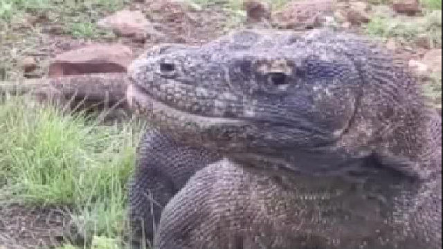 大兄弟 你吃慢点啊