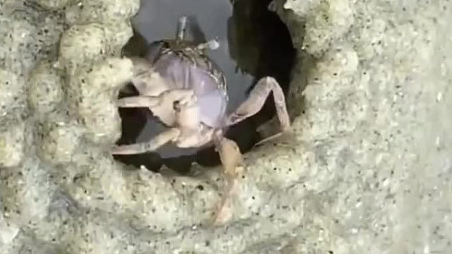 这房子质量堪忧啊