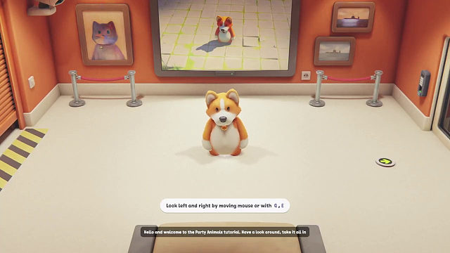 猛兽派对： 新手上路从尼莫柯基开始吧熟悉移动托举跳跃等动作 YKF001