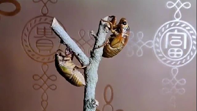 地下潜心修炼三年，只为今日华丽转身。