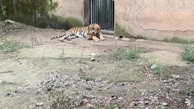 这价格，我上菜市场也买不到啊