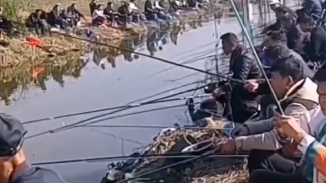 我估计下面的鱼都没有人多[捂脸]