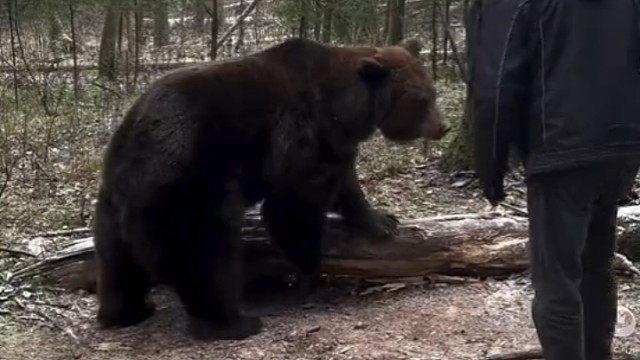 抱对大腿的重要性！